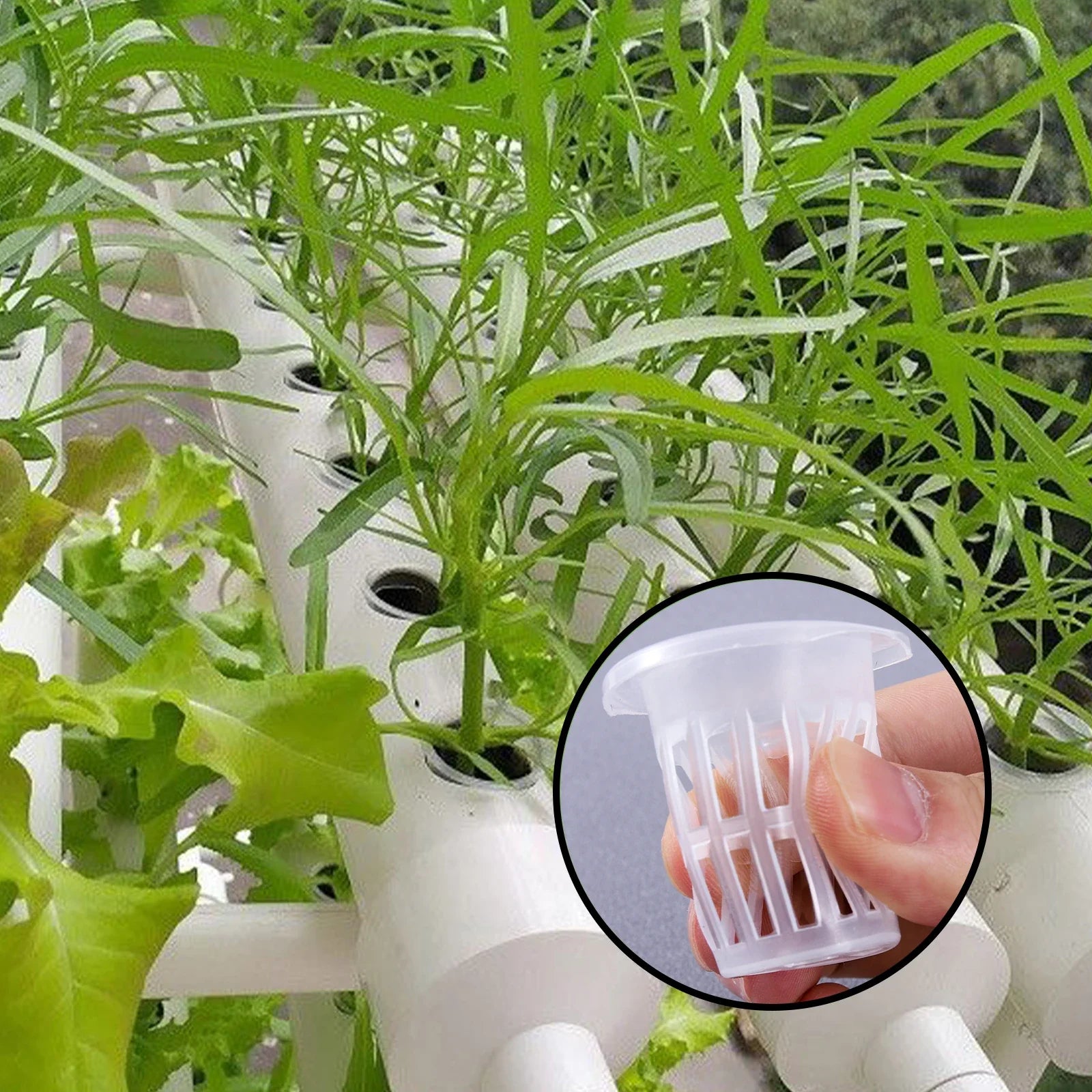 10/50pcs Hydroponic Planting Basket - Slotted Cup for Hydroponic Gardening Perfect for Seedlings & Vegetables