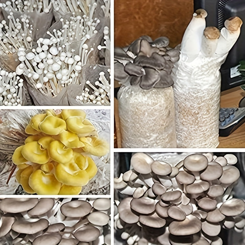 10pcs Mushroom Grow Bags - Autoclavable Sealable Spawn Bags for Farm-Scale Mushroom Cultivation - Mushroom growing bags