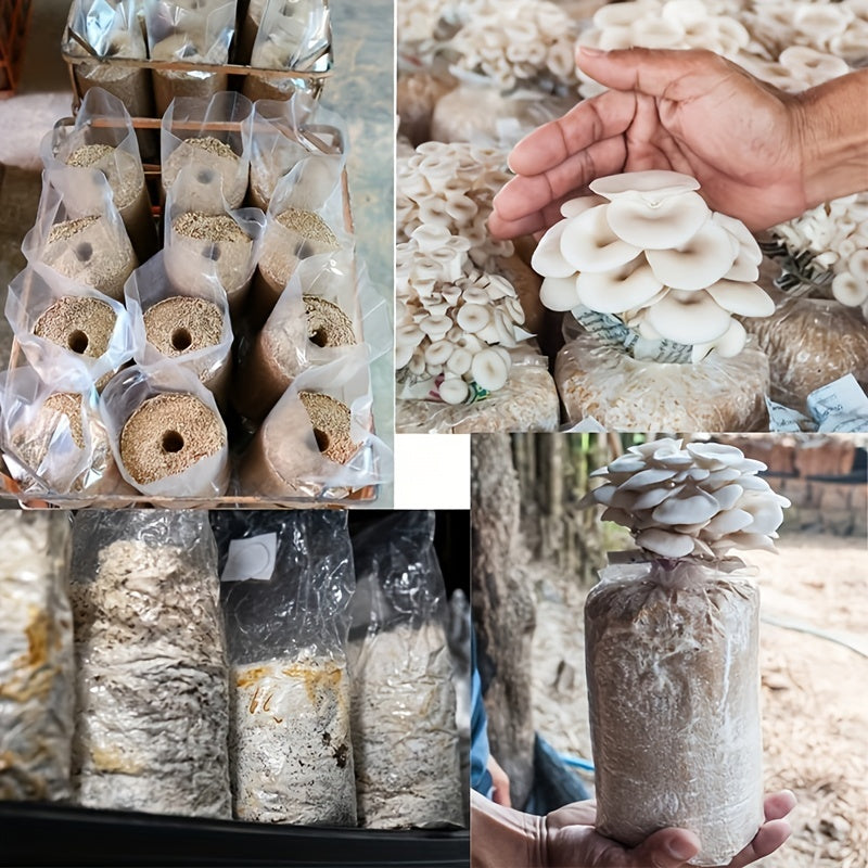 10pcs Mushroom Grow Bags - Autoclavable Sealable Spawn Bags for Farm-Scale Mushroom Cultivation - Mushroom growing bags