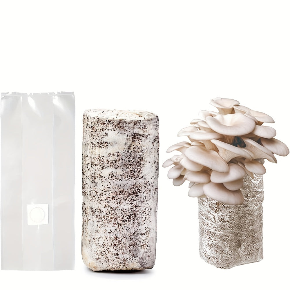 10pcs Mushroom Grow Bags - Autoclavable Sealable Spawn Bags for Farm-Scale Mushroom Cultivation - Mushroom growing bags