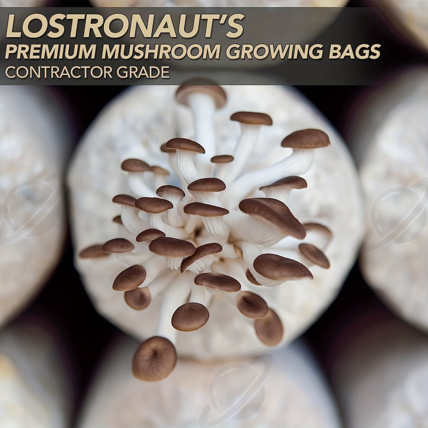 10pcs Mushroom Grow Bags - Autoclavable Sealable Spawn Bags for Farm-Scale Mushroom Cultivation - Mushroom growing bags