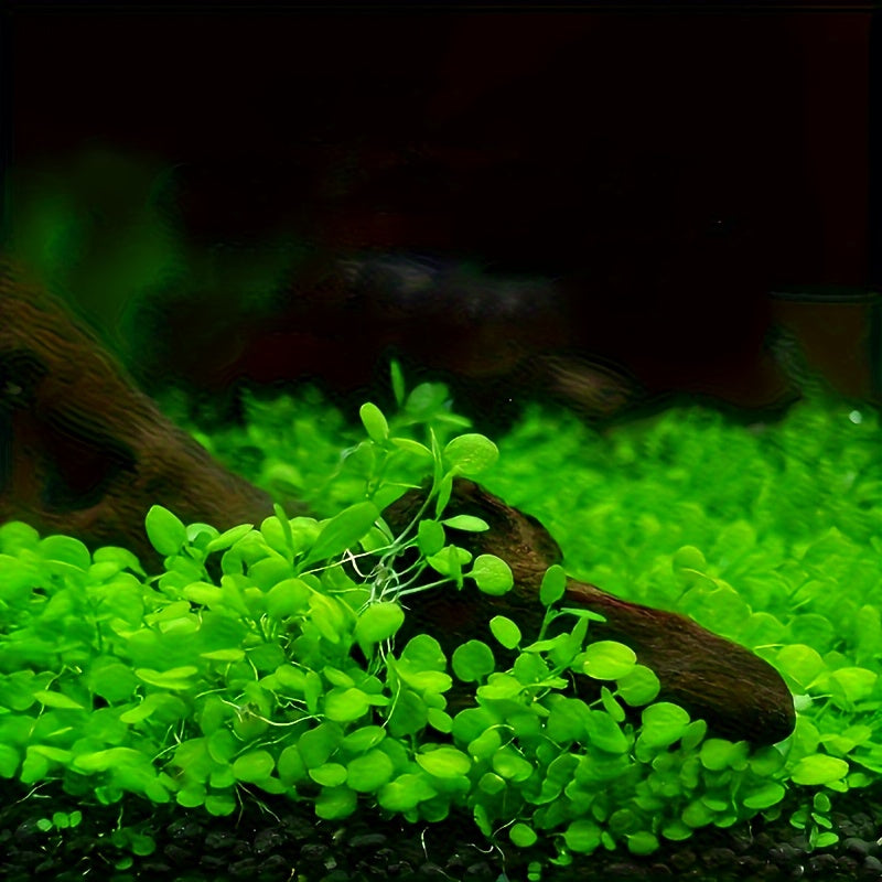 1pc 1.1lb/500g Black Aquaponics Substrate Non-Powdering Water Grass Mud Clear Water Aquatic Soil For Fish Tank
