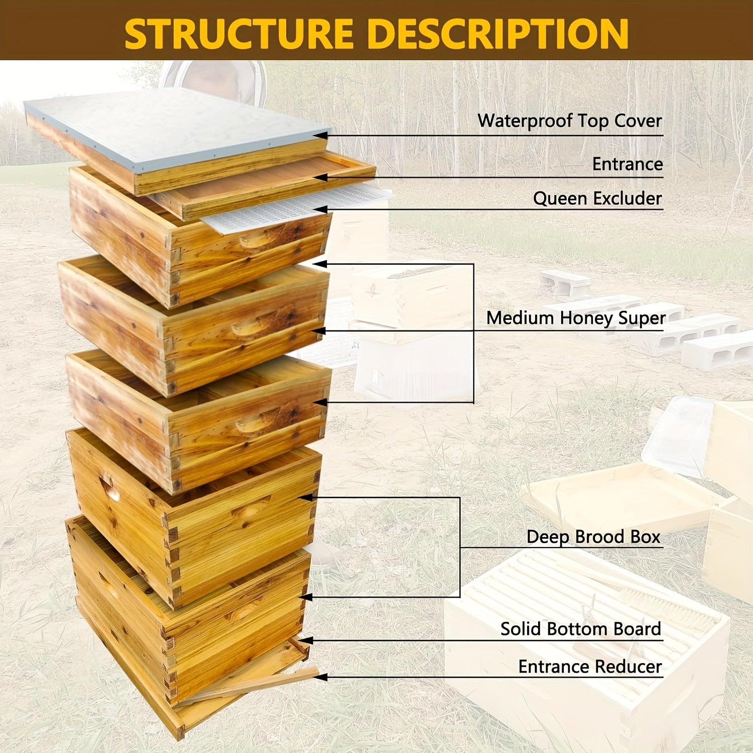 5/3-Layer Bee Hive Without Frames - Complete Beehive Kit for Beginners | Langstroth Design Coated with 100% Beeswax