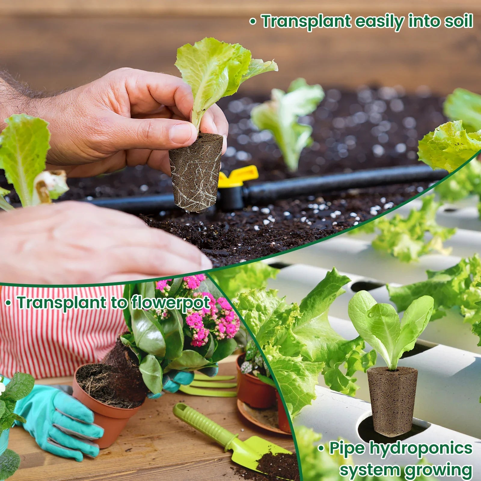 50/100pcs Garden Seed Nursery Sponges – Soilless Hydroponic Cultivation Growth Sponges for Indoor Garden Plant System &