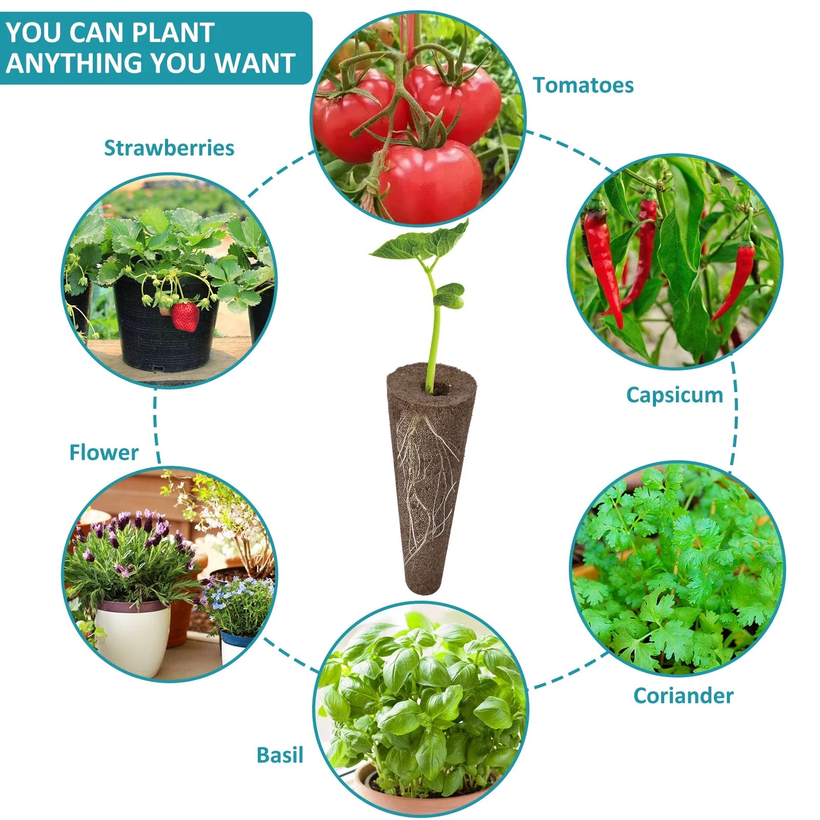 50/100pcs Garden Seed Nursery Sponges – Soilless Hydroponic Cultivation Growth Sponges for Indoor Garden Plant System &