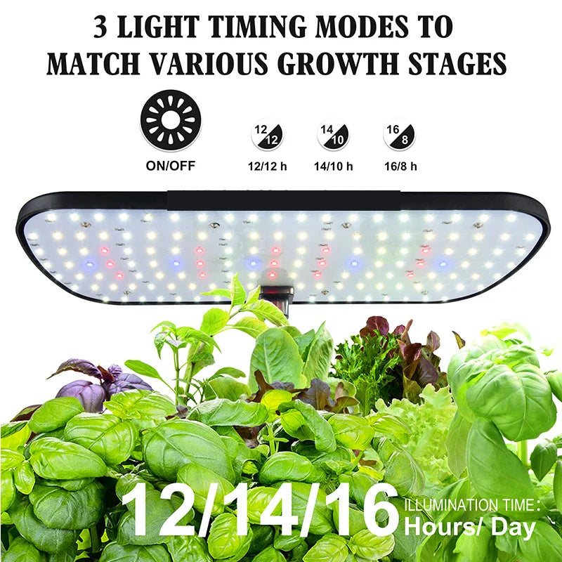 6-Plant Indoor Hydroponics System with LED Grow Lamp – Soilless Herb Planter Kit for Vegetables and Herbs – Black