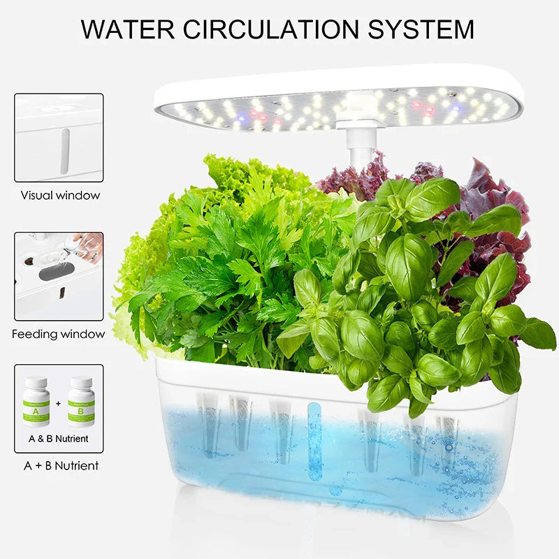 6-Plant Indoor Hydroponics System with LED Grow Lamp – Soilless Herb Planter Kit for Vegetables and Herbs – Black