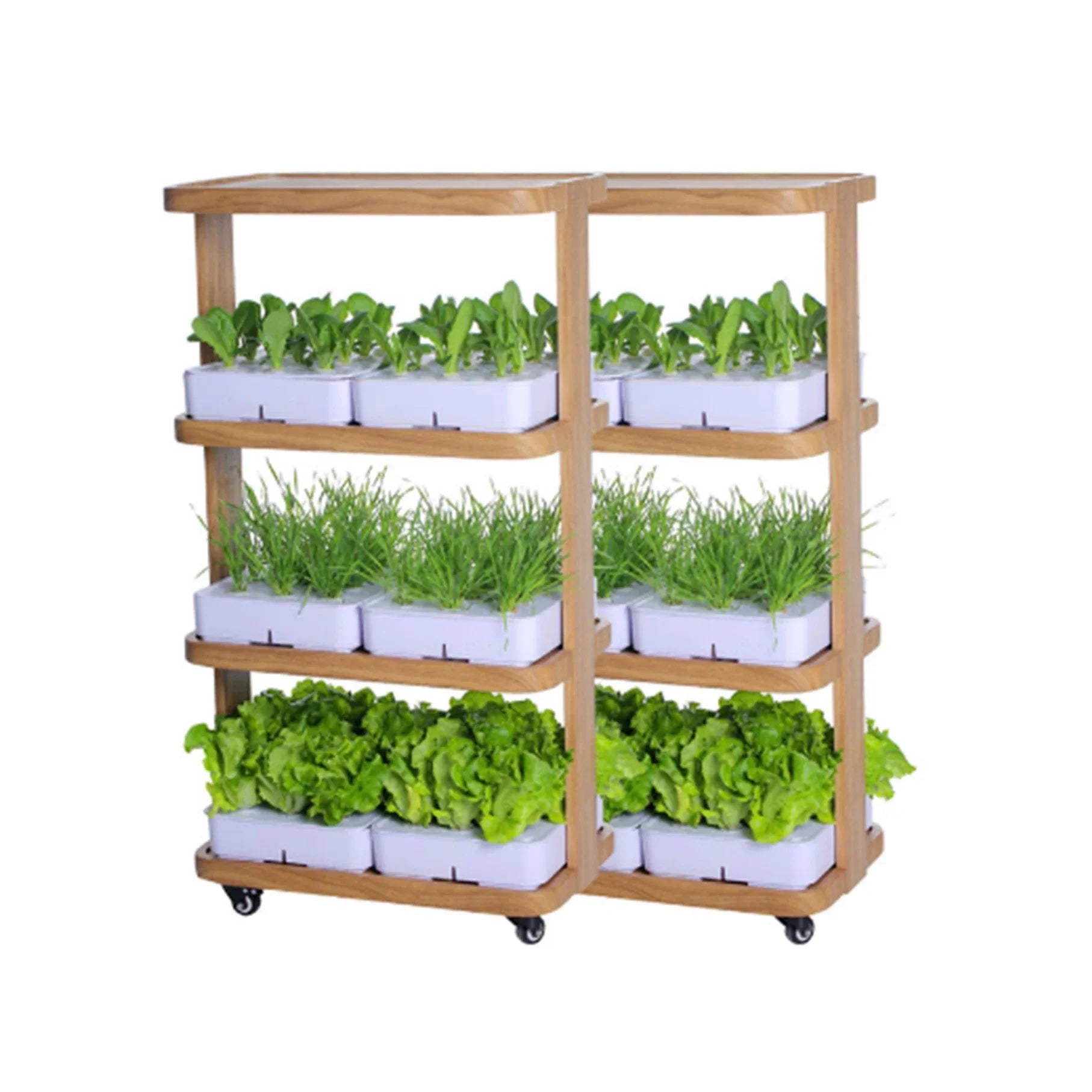 Automatic Home Garden Aquaponics Hydroponic Farming System - Complete Vertical Hydroponic System for Growing Vegetables