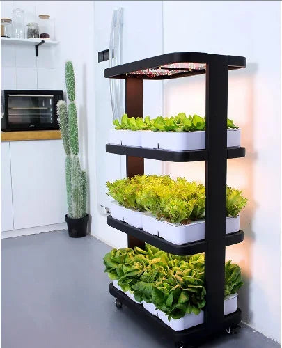 Automatic Home Garden Aquaponics Hydroponic Farming System - Complete Vertical Hydroponic System for Growing Vegetables