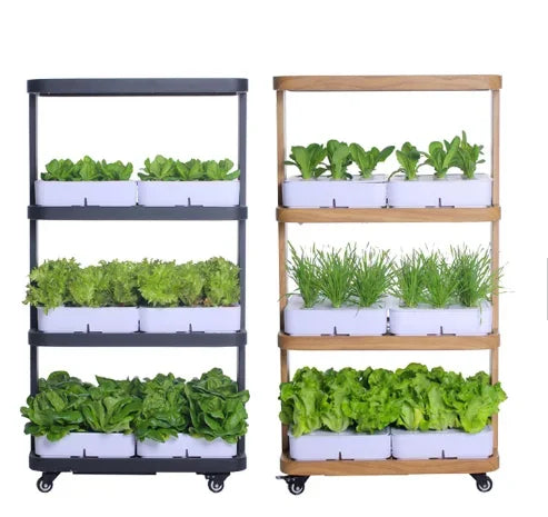 Automatic Home Garden Aquaponics Hydroponic Farming System - Complete Vertical Hydroponic System for Growing Vegetables