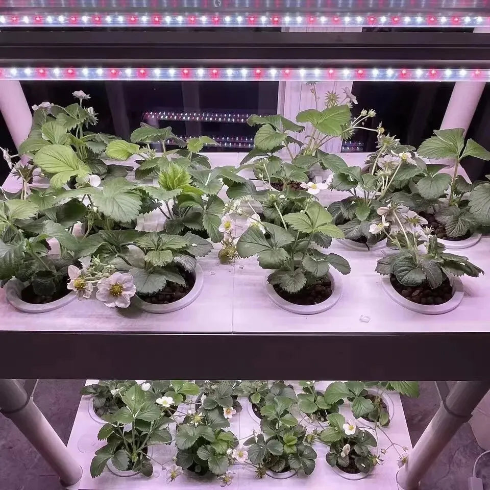 Hydroponics Growing System Indoor Garden Kit - 3 Layers 42 Pods with LED Light for Vegetables Strawberries & Herbs