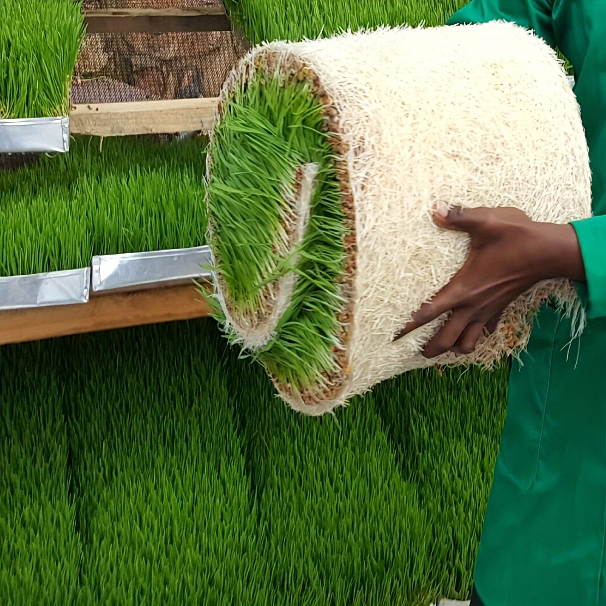Jute Microgreens Grow Mats – Eco-Friendly Hydroponic Grow Pads for Sprouting Trays Microgreens and Wheatgrass - Jute