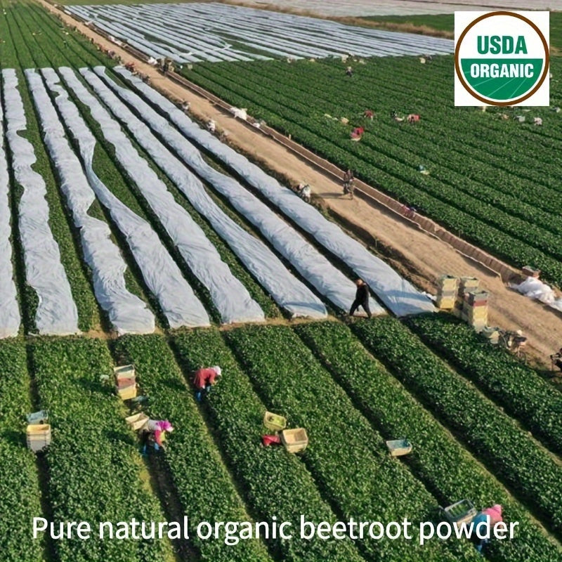 Organic Beetroot Powder (1 Pound) 100% Natural Beetroot Juice Powder Superfood High-quality Beetroot Concentrate Powder