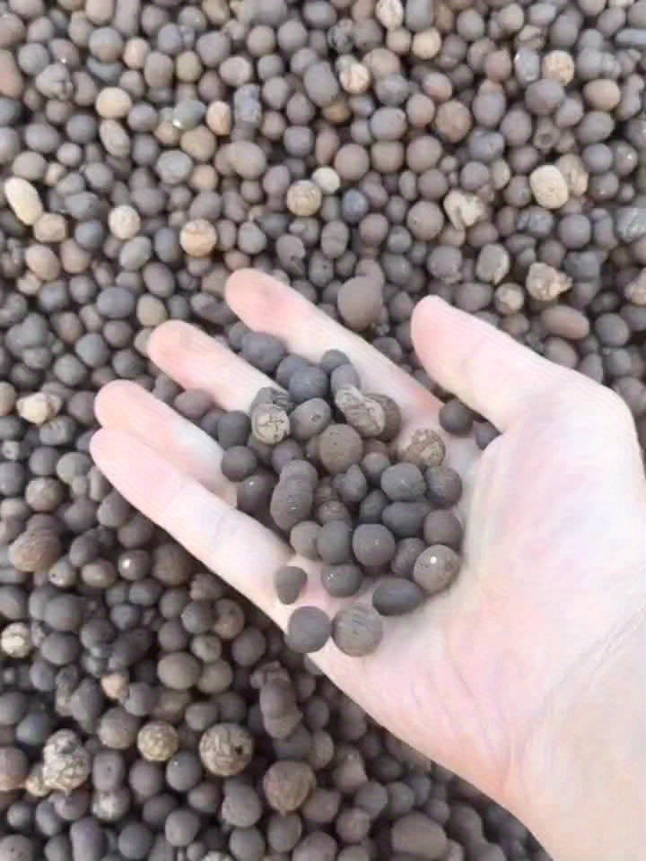 Organic Ceramic Leca Clay Pebbles 10-15mm – Lightweight Natural-Looking Plant Expansion Stones for Enhanced Soil Health