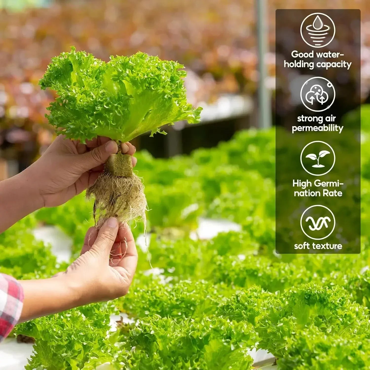 Stonewool Hydroponic Grow Media Cubes – Soilless Substrate for Seedlings & Plants – Efficient Planting Cubes
