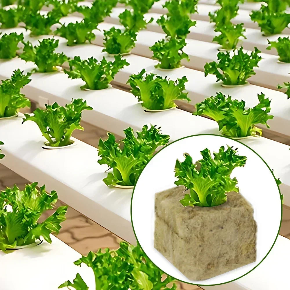 Stonewool Hydroponic Grow Media Cubes – Soilless Substrate for Seedlings & Plants – Efficient Planting Cubes
