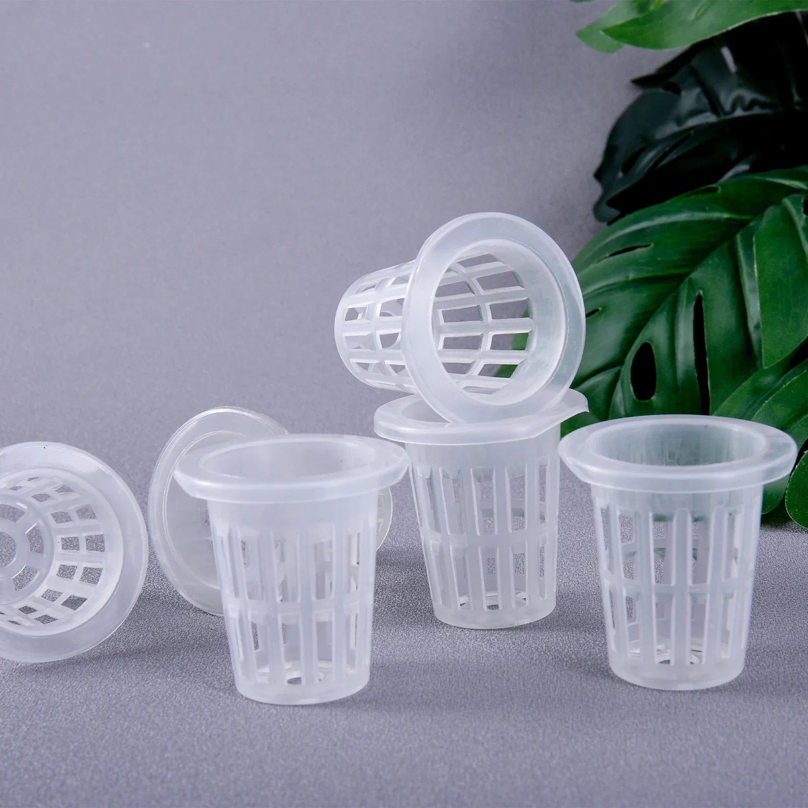10/50pcs Hydroponic Planting Basket - Slotted Cup for Hydroponic Gardening Perfect for Seedlings & Vegetables