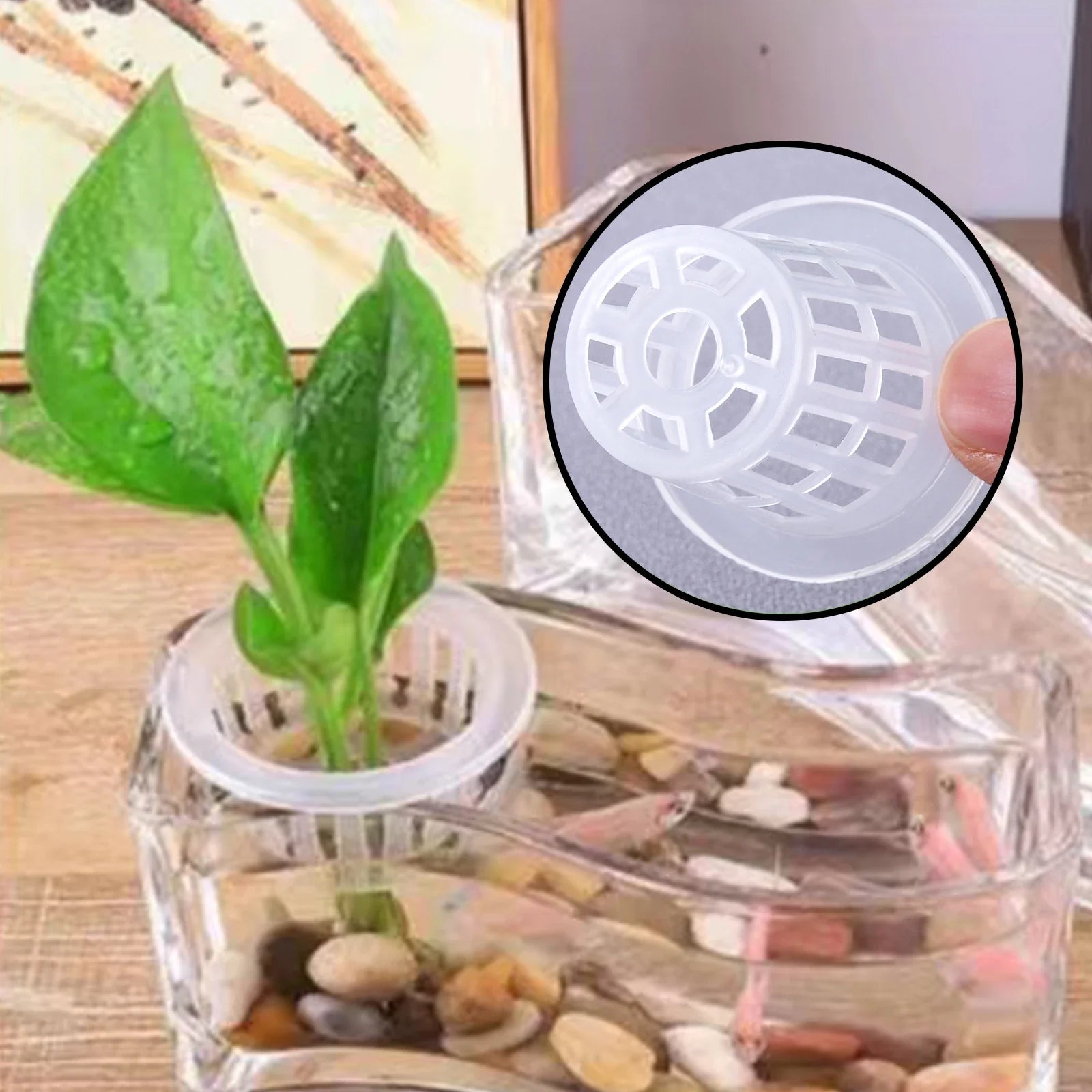 10/50pcs Hydroponic Planting Basket - Slotted Cup for Hydroponic Gardening Perfect for Seedlings & Vegetables