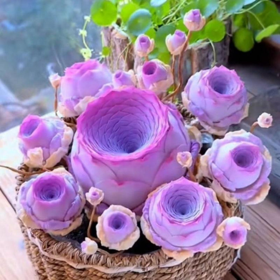 1000 Mountain Rose Seeds - Succulent Peach Rose & Mountain Purple Wine Glass Rose - Perfect for Indoor Potted Plants &