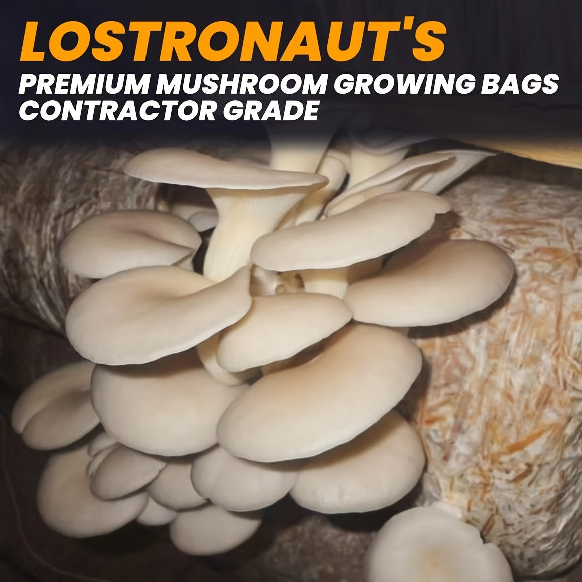 10pcs Mushroom Growing Kit – Easy DIY Home & Garden Setup Durable Plastic Bags for Indoor/Outdoor Use – Grow Your Own