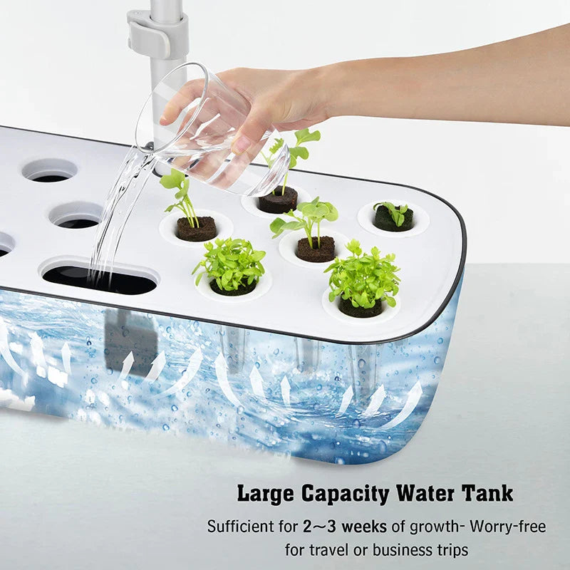 6-Plant Indoor Hydroponics System with LED Grow Lamp – Soilless Herb Planter Kit for Vegetables and Herbs – Black