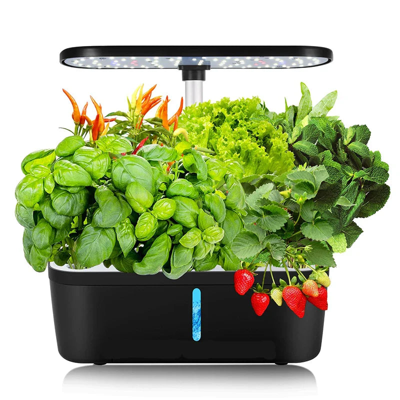 6-Plant Indoor Hydroponics System with LED Grow Lamp – Soilless Herb Planter Kit for Vegetables and Herbs – Black