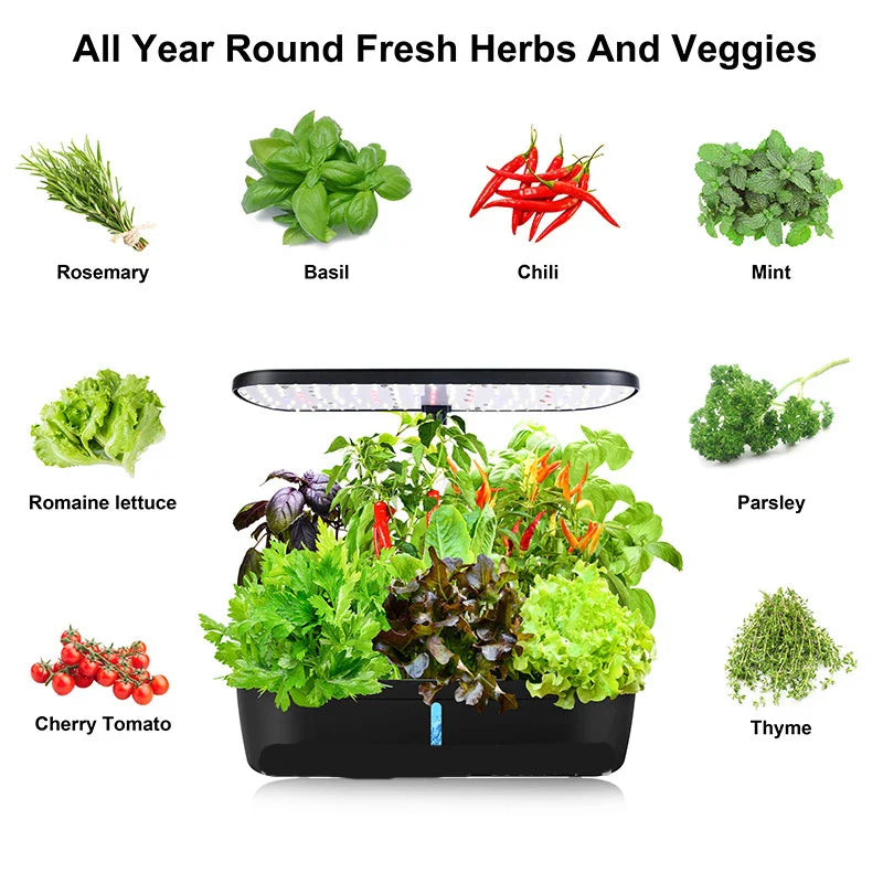 6-Plant Indoor Hydroponics System with LED Grow Lamp – Soilless Herb Planter Kit for Vegetables and Herbs – Black