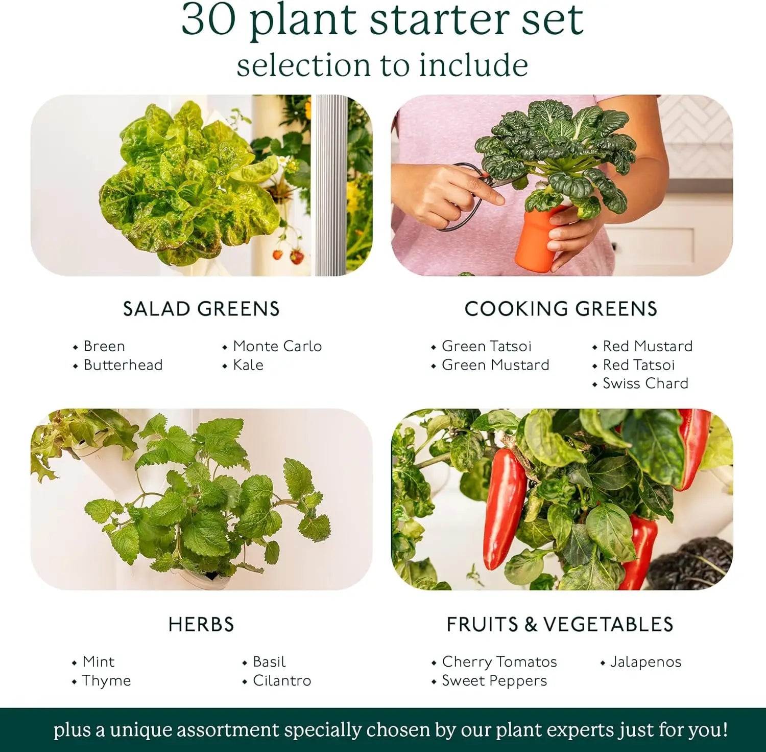 Gardyn 3.0 Hydroponics Growing System Kit | Vertical Indoor Garden Tower | Smart Herb Garden | Includes 30 Non-GMO