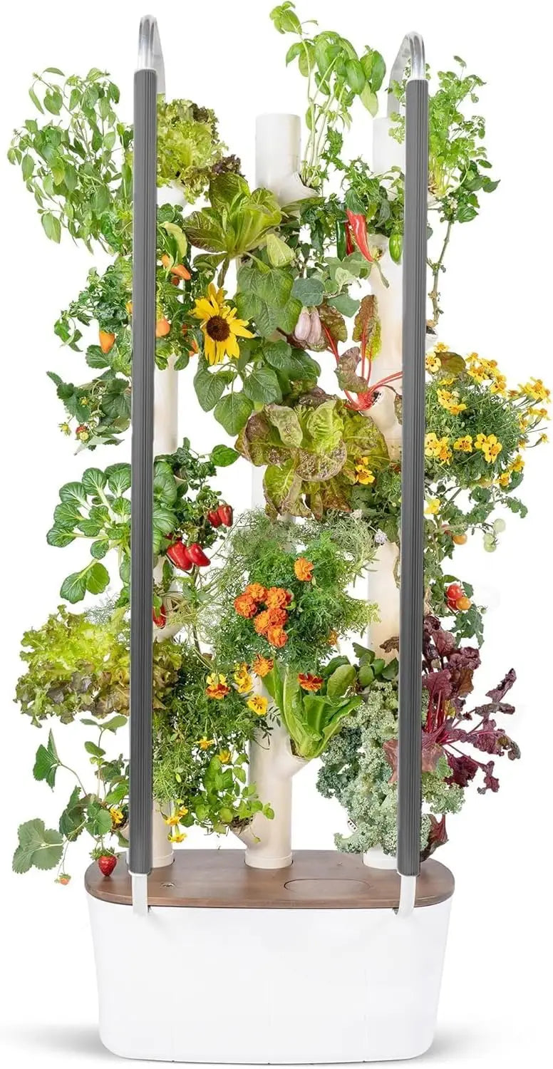 Gardyn 3.0 Hydroponics Growing System Kit | Vertical Indoor Garden Tower | Smart Herb Garden | Includes 30 Non-GMO