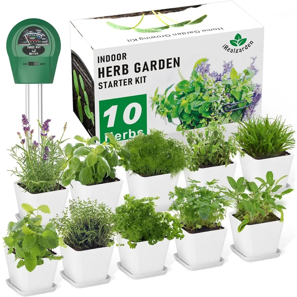 Herb Garden Kit Indoor Herb Garden Starter Kit - 10 Variety Herbs Kitchen Window Herb Garden Planter Indoor\Outdoor