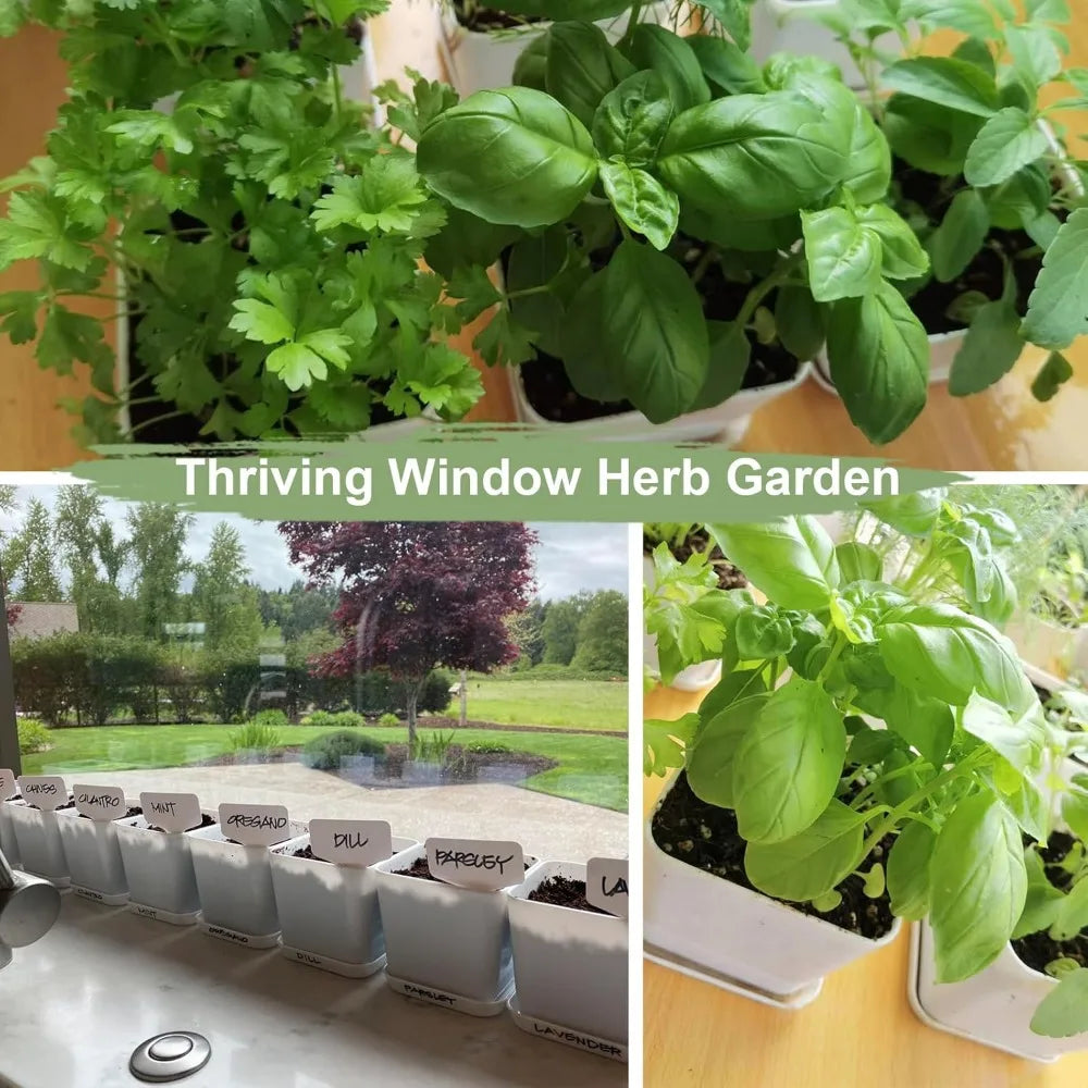Herb Garden Kit Indoor Herb Garden Starter Kit - 10 Variety Herbs Kitchen Window Herb Garden Planter Indoor\Outdoor
