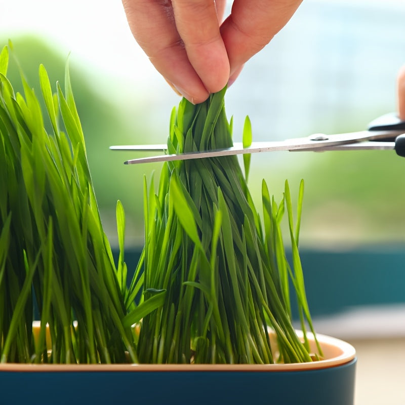 Hydroponic Grass Growing Pot for Improved Digestion and Health - Includes Greenhouse Grow Box (Seeds Not Included)