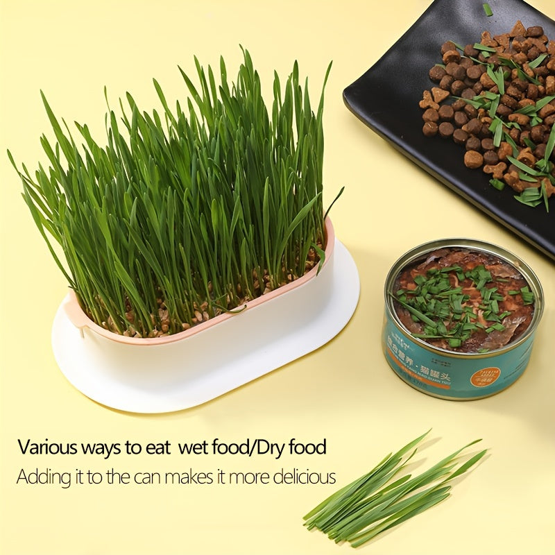 Hydroponic Grass Growing Pot for Improved Digestion and Health - Includes Greenhouse Grow Box (Seeds Not Included)