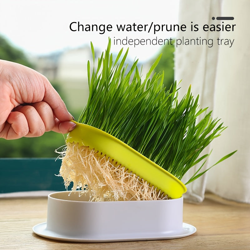 Hydroponic Grass Growing Pot for Improved Digestion and Health - Includes Greenhouse Grow Box (Seeds Not Included)