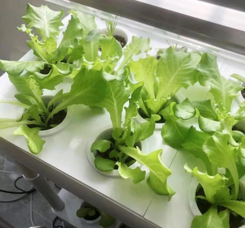 Hydroponics Growing System Indoor Garden Kit - 3 Layers 42 Pods with LED Light for Vegetables Strawberries & Herbs