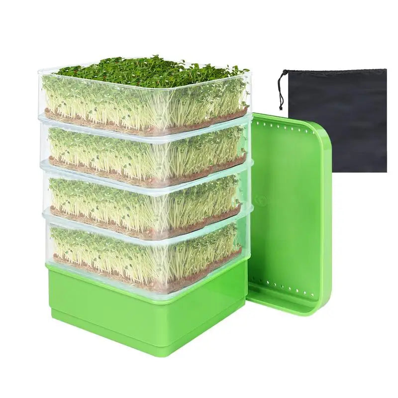 Seed Sprouter Tray with Cover – Perfect for Growing Vegetables Herbs and Plants - green - Seed Sprouting Tray