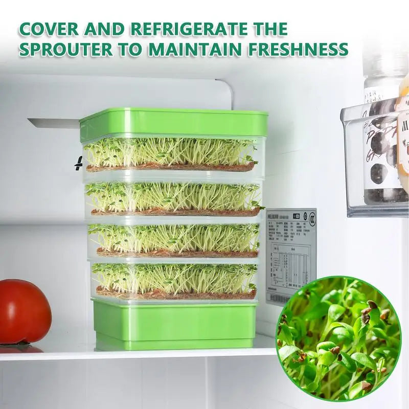 Seed Sprouter Tray with Cover – Perfect for Growing Vegetables Herbs and Plants - green - Seed Sprouting Tray