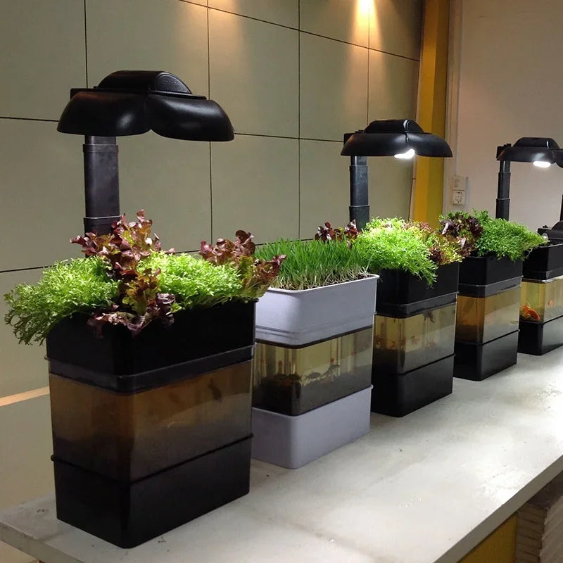 Smart Growing System Fish Tank – All-in-One Aquaponic Mini Farm with LED Grow Light - Aquaponics